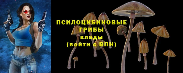 молекула духа Балабаново