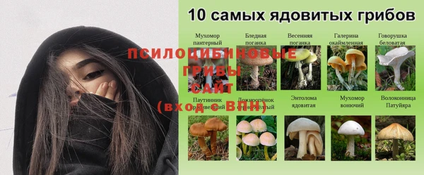 прущая мука Баксан