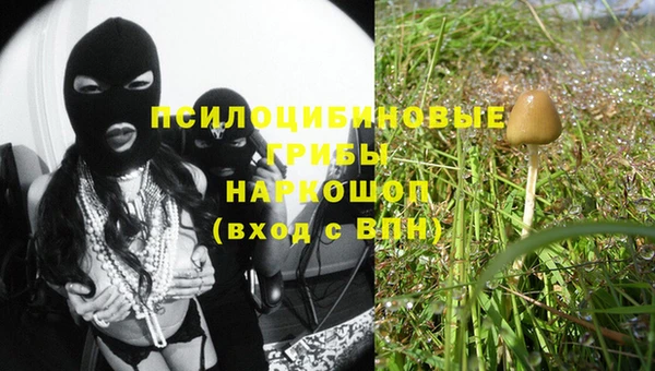 молекула духа Балабаново