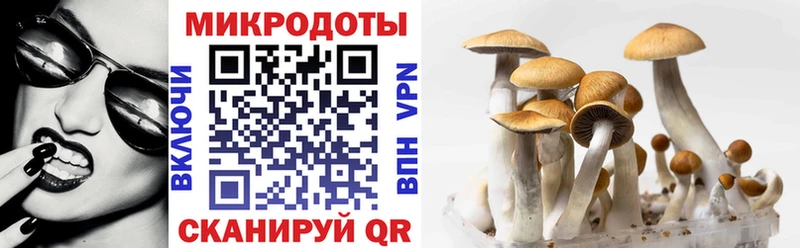 как найти наркотики  Бикин  Галлюциногенные грибы GOLDEN TEACHER 